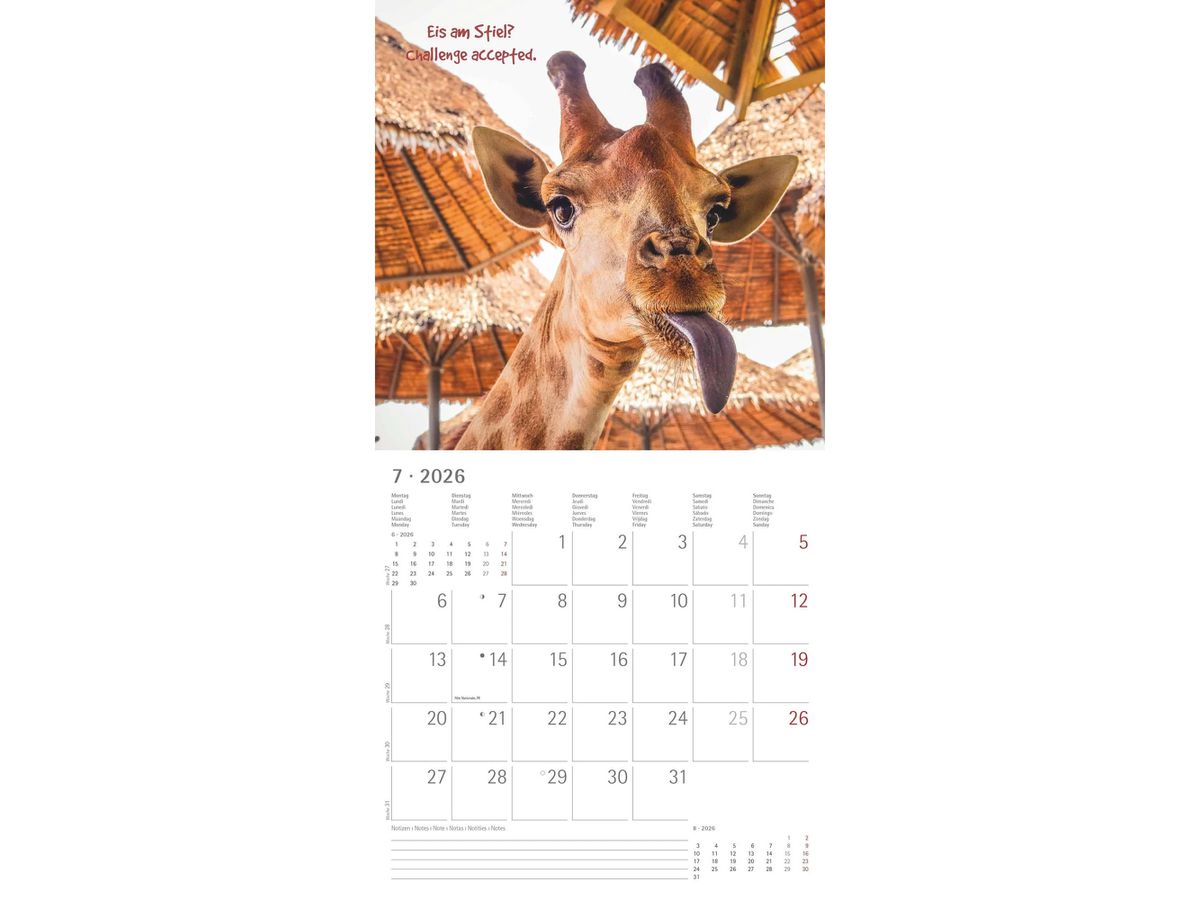 ALPHA EDITION Bildkalender 2026 160630 Funny Animals ML 30x30cm (4069095006300)
