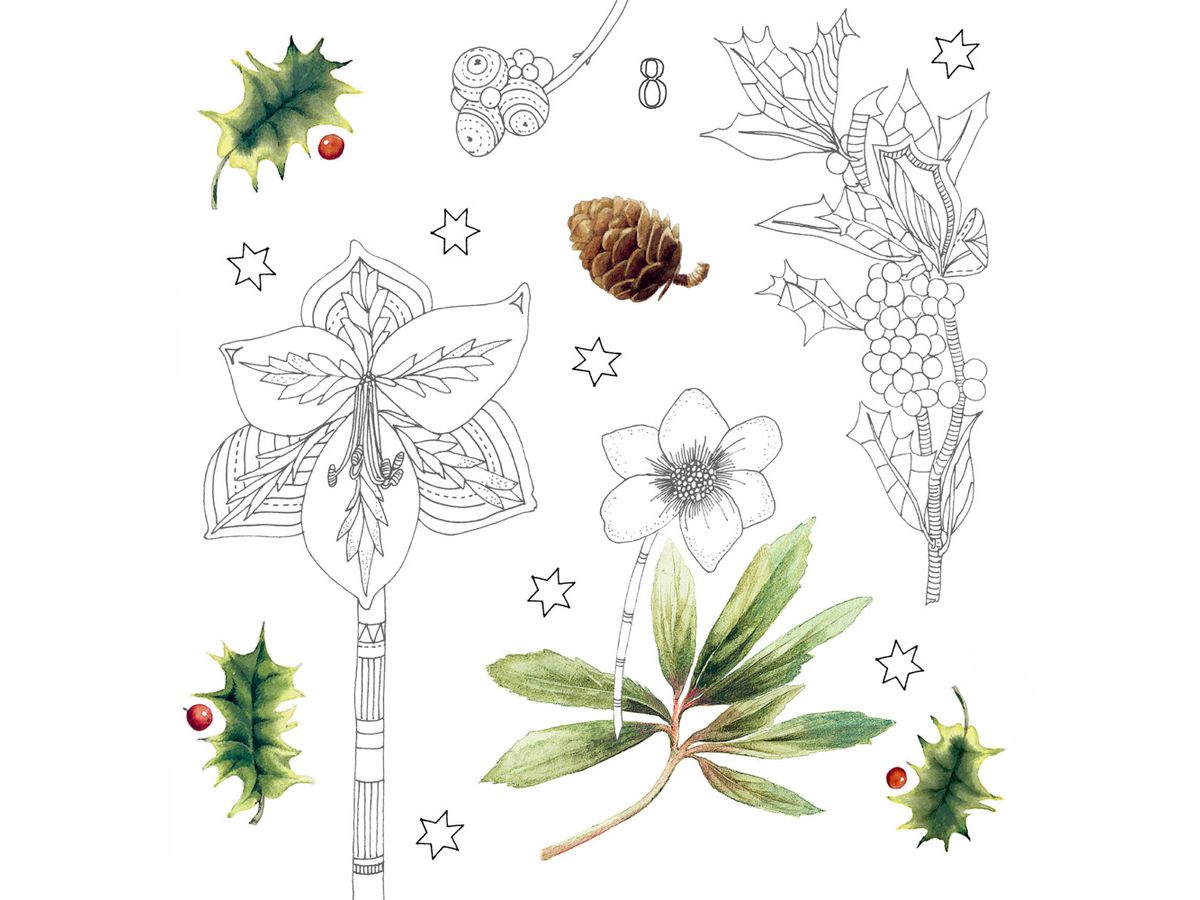 COPPENRATH Calendrier de l'avent créatif 95312 Merveilleux monde d'hiver (4050003953120)