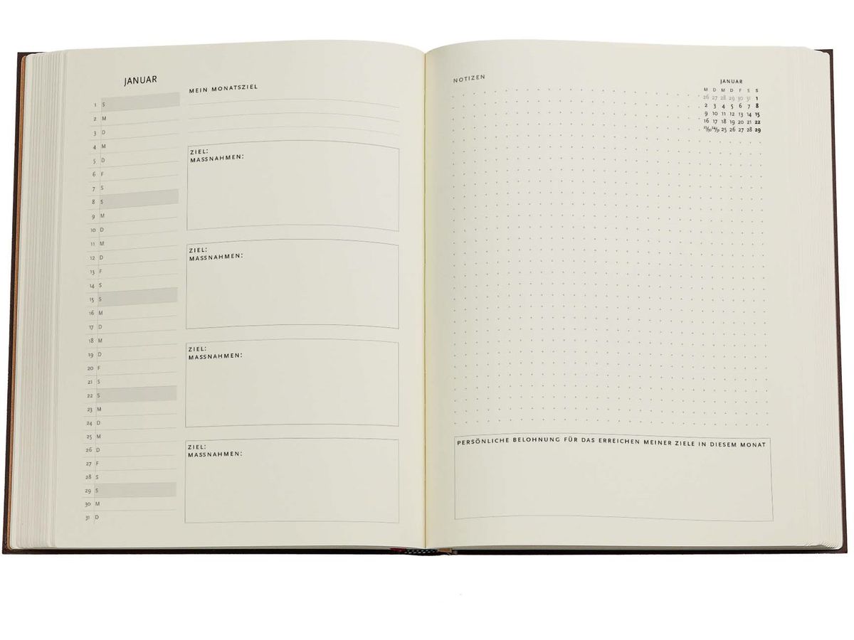 PAPERBLANKS Agenda Anemone 2026 FD0699-3 1S/2P VER Ultra SC AL 18x23cm (9780349706993)