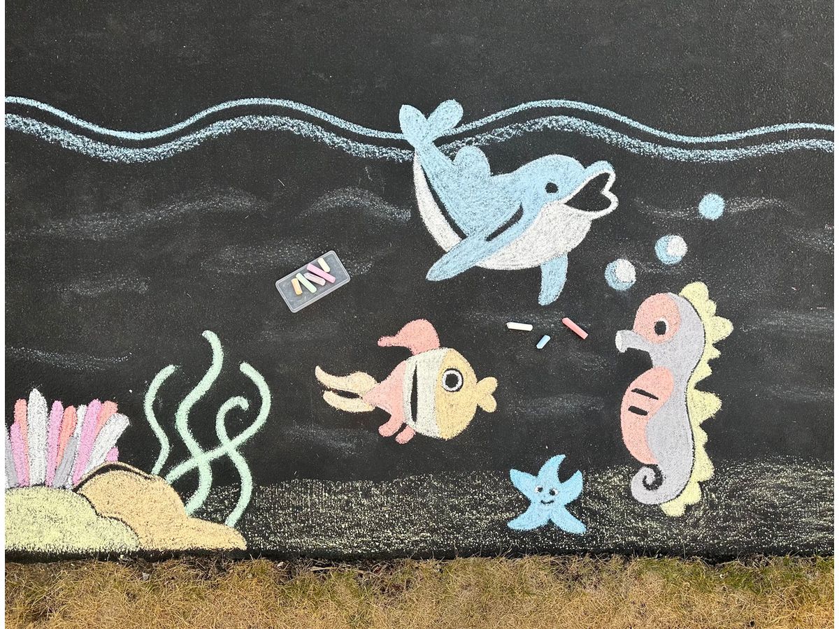 EBERHARD FABER Strassenkreide 526599 100 Farben ass. (4087205265997)