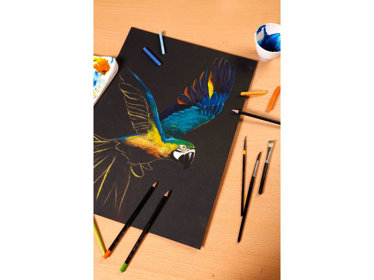 CLAIREFONTAINE Paint'On A3 975170C Noir, 250g 20 feuilles (3329689751704)