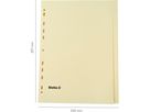 BIELLA Répertoires carton A4 19542400U jaune 24 pcs. (7611365283491)