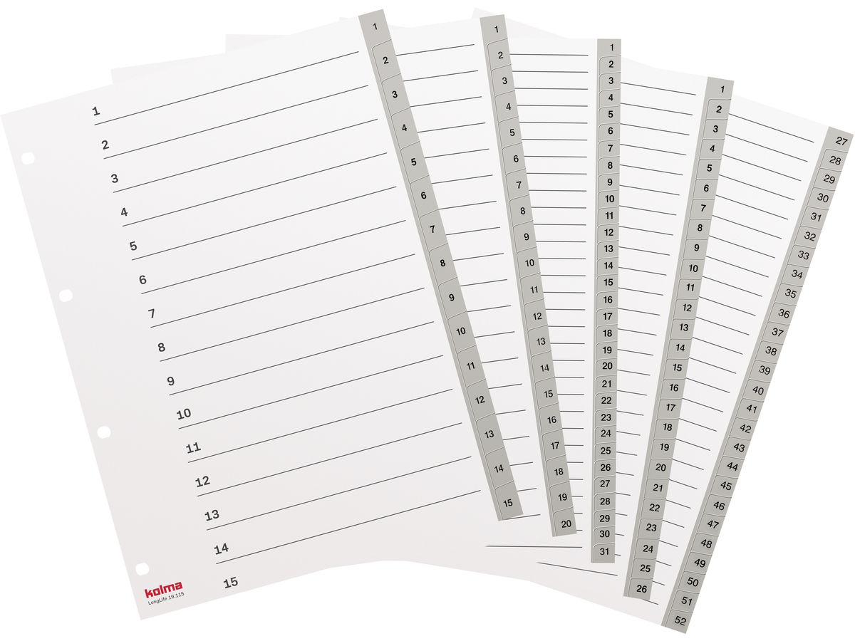KOLMA Register LongLife A4 19.120.03 grau 1-20 (7611967190074)
