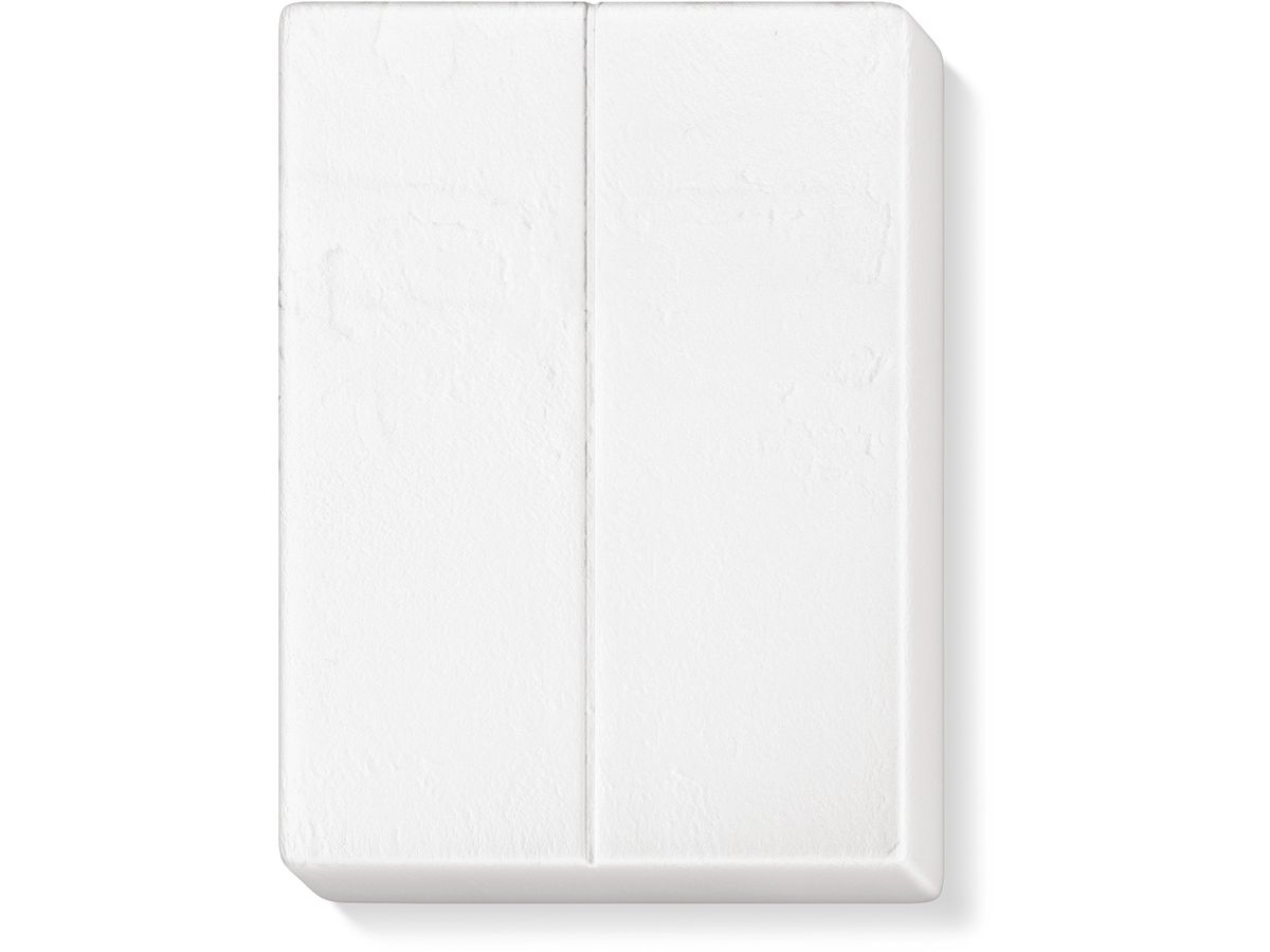 FIMO Lumière d'air de mastic 250g 8131-0 blanc (4007817813041)