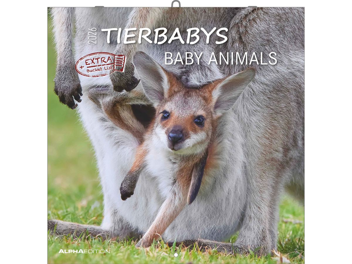 ALPHA EDITION Bildkalender 2026 160341 Tierbabys ML 30x30cm (4069095003415)