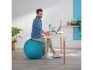LEITZ Sitzball Cosy 5279-00-61 blau Ø65cm 1 Stk (4002432129539)