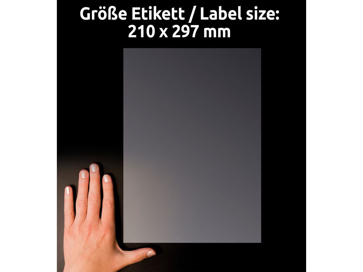 AVERY ZWECKFORM Etiketten L8011-10 Antimic. 210x297mm transp. (4004182380116)