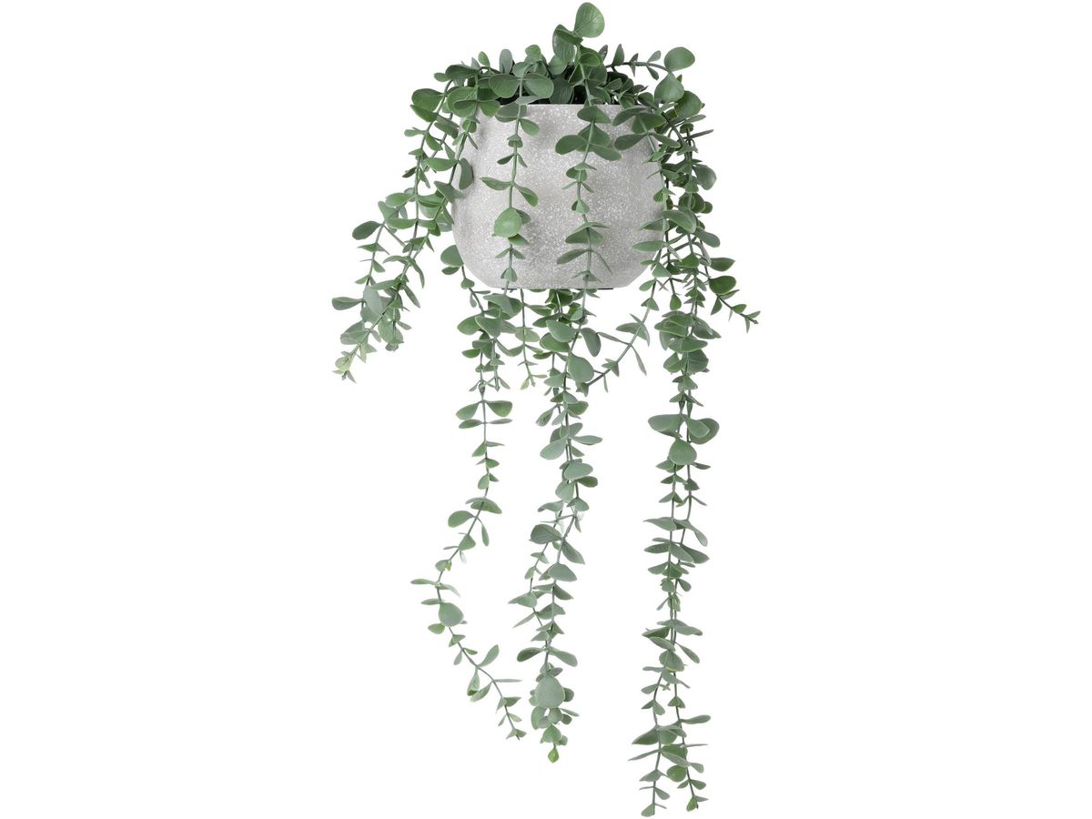 EGLO Pianta artificiale 50cm 428497 verde, in vaso (9008606367962)