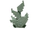 HAMA Set des perles Midi 3621 Succulentes (0028178036218)