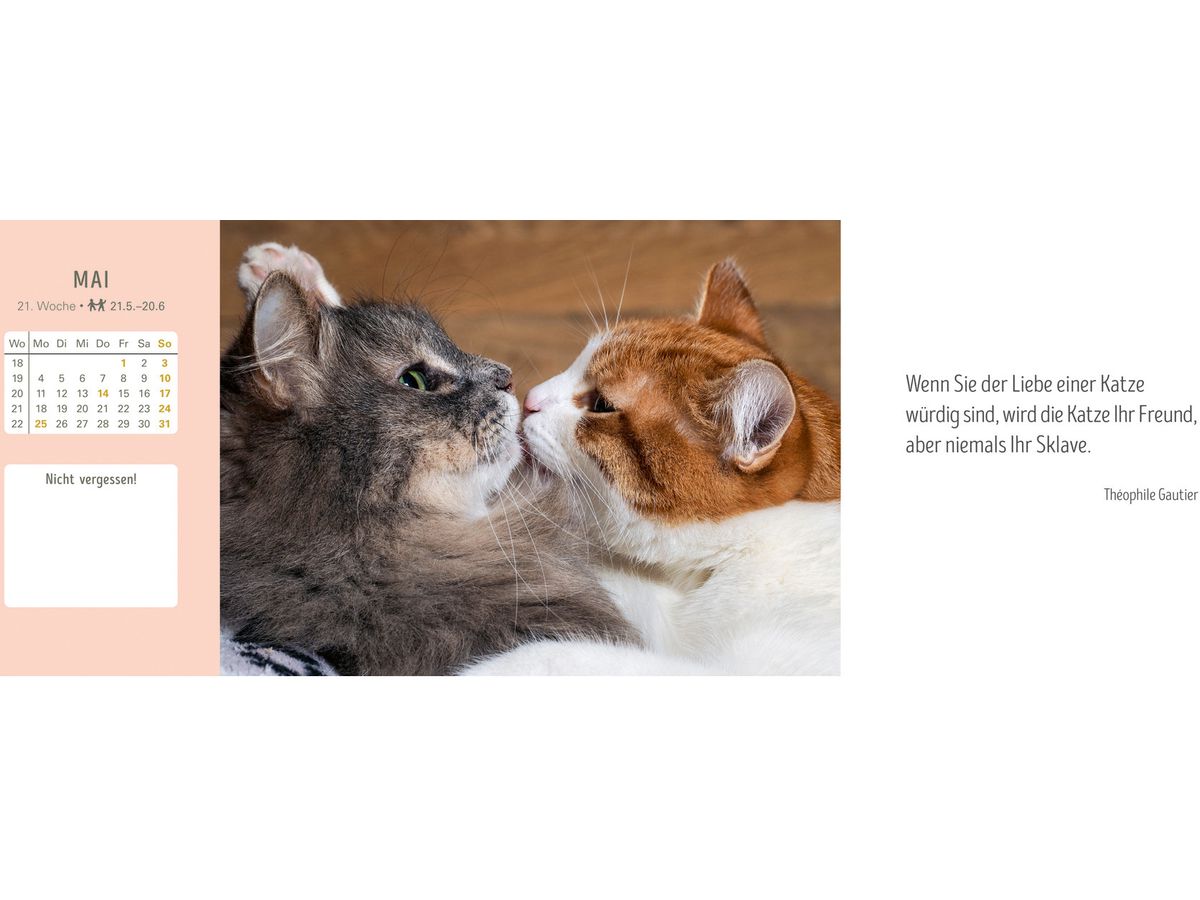 HARENBERG Pultkalender 2026 3310235+26 Katzen 29.9x11.1cm (9783840038020)