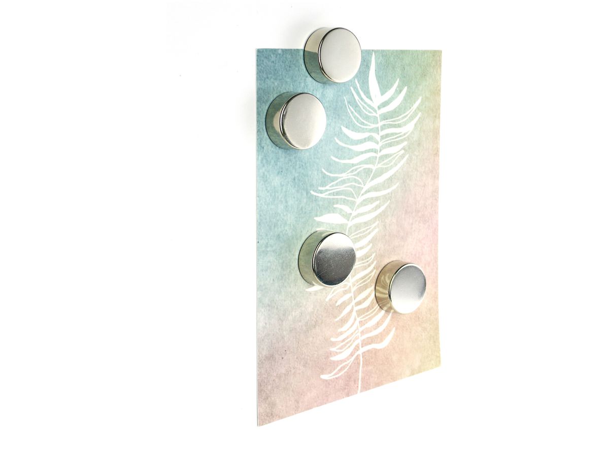 TRENDFORM Calamite SILVER TF2735 argento 4 pezzi (7640161866348)