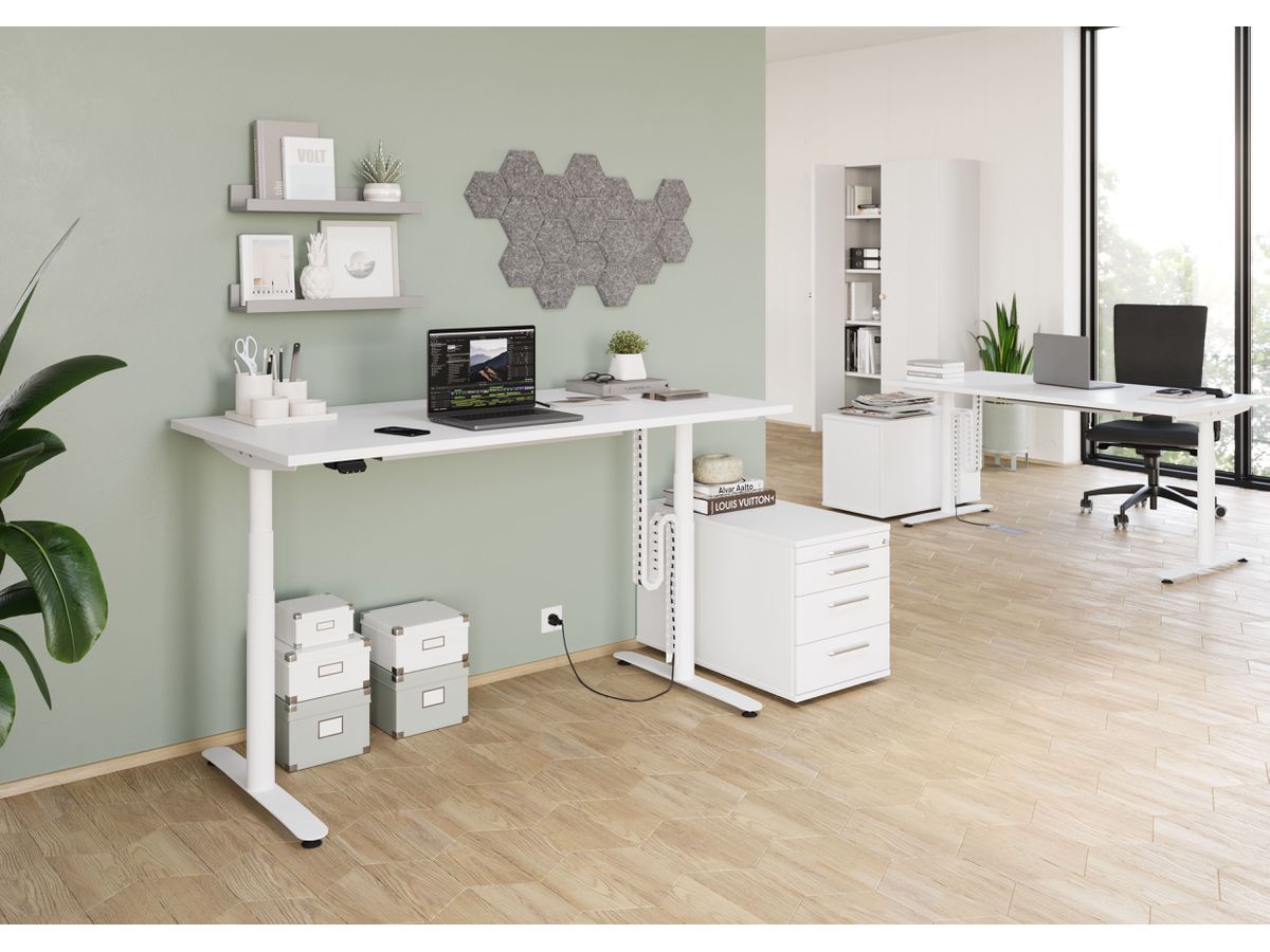 APOLLO Kabelkette VCKVL/D schwarz, magnetisch (4032062244289)