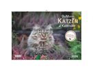 DUMONT Bildkalender 2026 260621 Katzen DE 42x29cm (4069095006218)