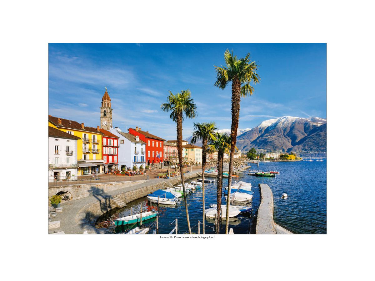 CALENDARIA Bildkalender 2026 9783036205144 Swiss Mix ML 31.5x23cm (9783036205144)