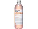 VITAMIN WELL Antioxidant, Pet 3202 50 cl, 12 pz. (7350042716371)