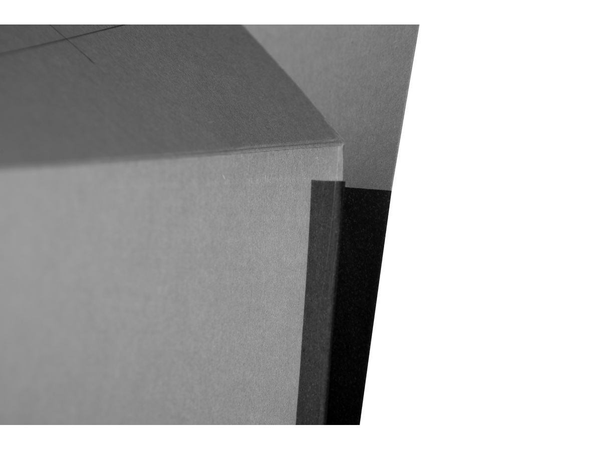 BIELLA Cartella sospesa Frosch A4 27132525U grigio 32x25cm (7611365289066)