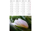 CALENDARIA Bildkalender 2026 9783036205397 Alpenblumen ML 14.8x22cm (9783036205397)