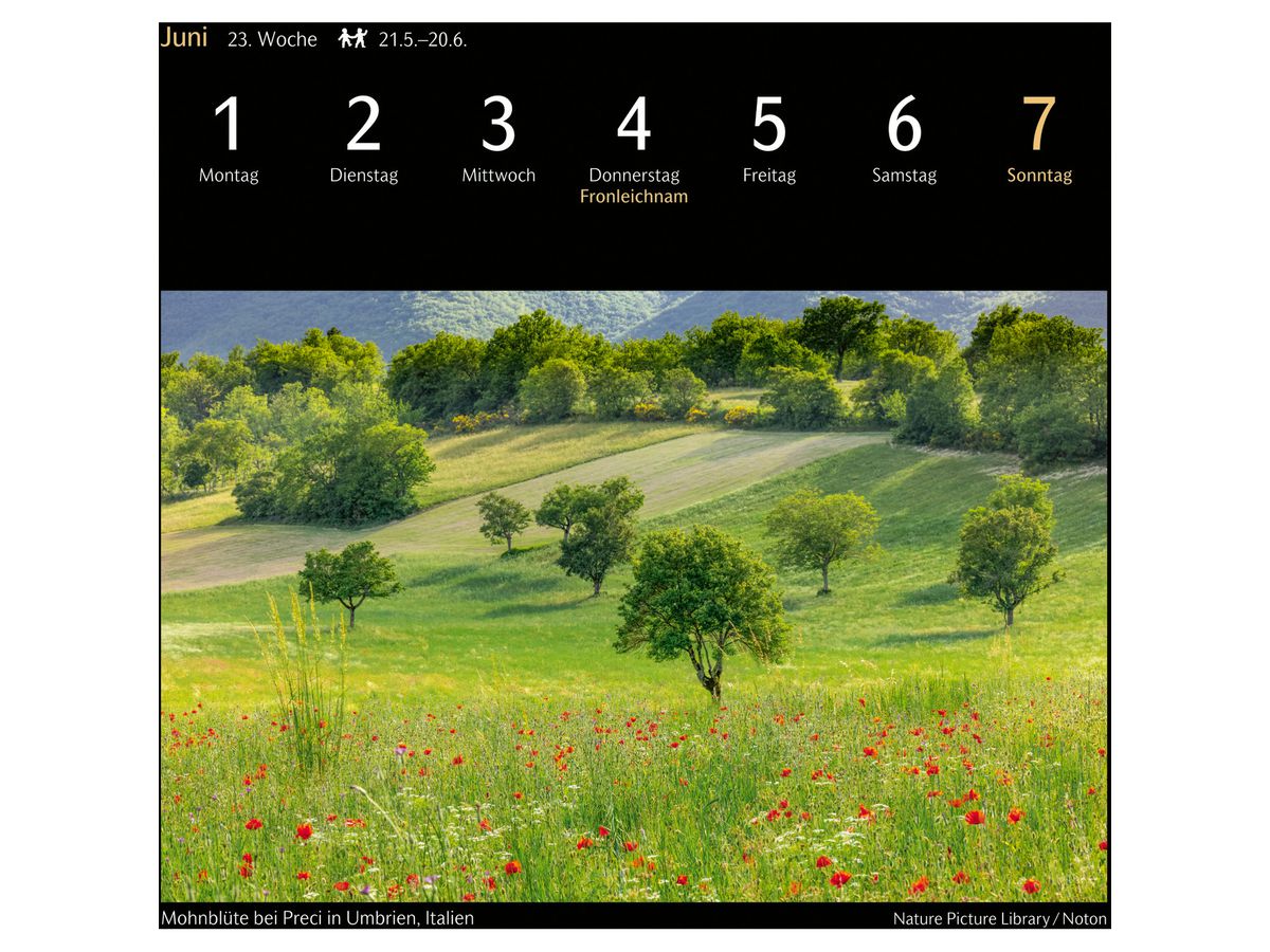 HARENBERG Calendario in cartolina 2026 3310116+26 Magic Nature DE 16x17.5cm (9783840036767)