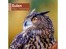 ACKERMANN Bildkalender 2026 4624 Eulen ML 30x30cm (9783838446240)