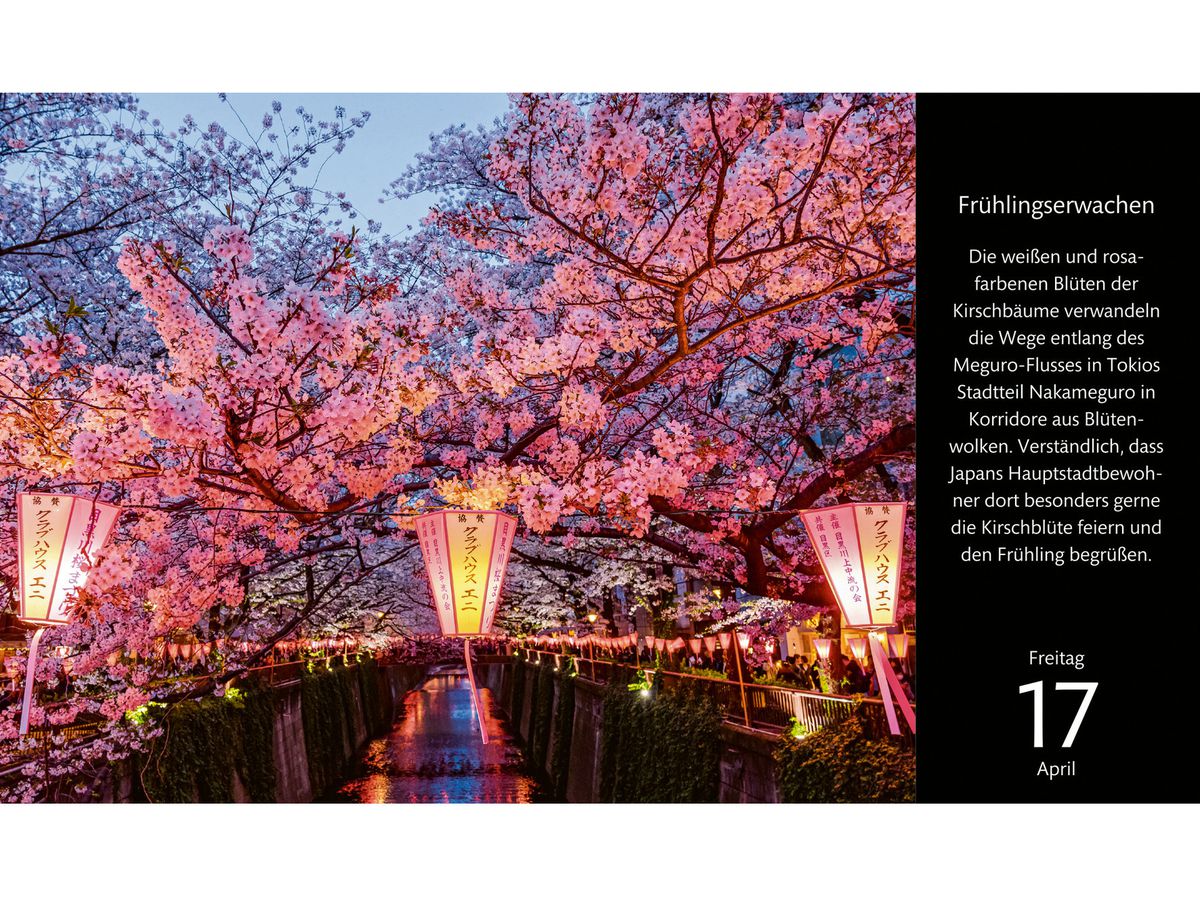 HARENBERG Calendrier de bureau 2026 2763900+26 Reise um die Welt DE 23x17cm (9783840036118)