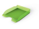 DURABLE Cestino portadocumenti A4 1701674017 verde-trasparente (4005546741956)