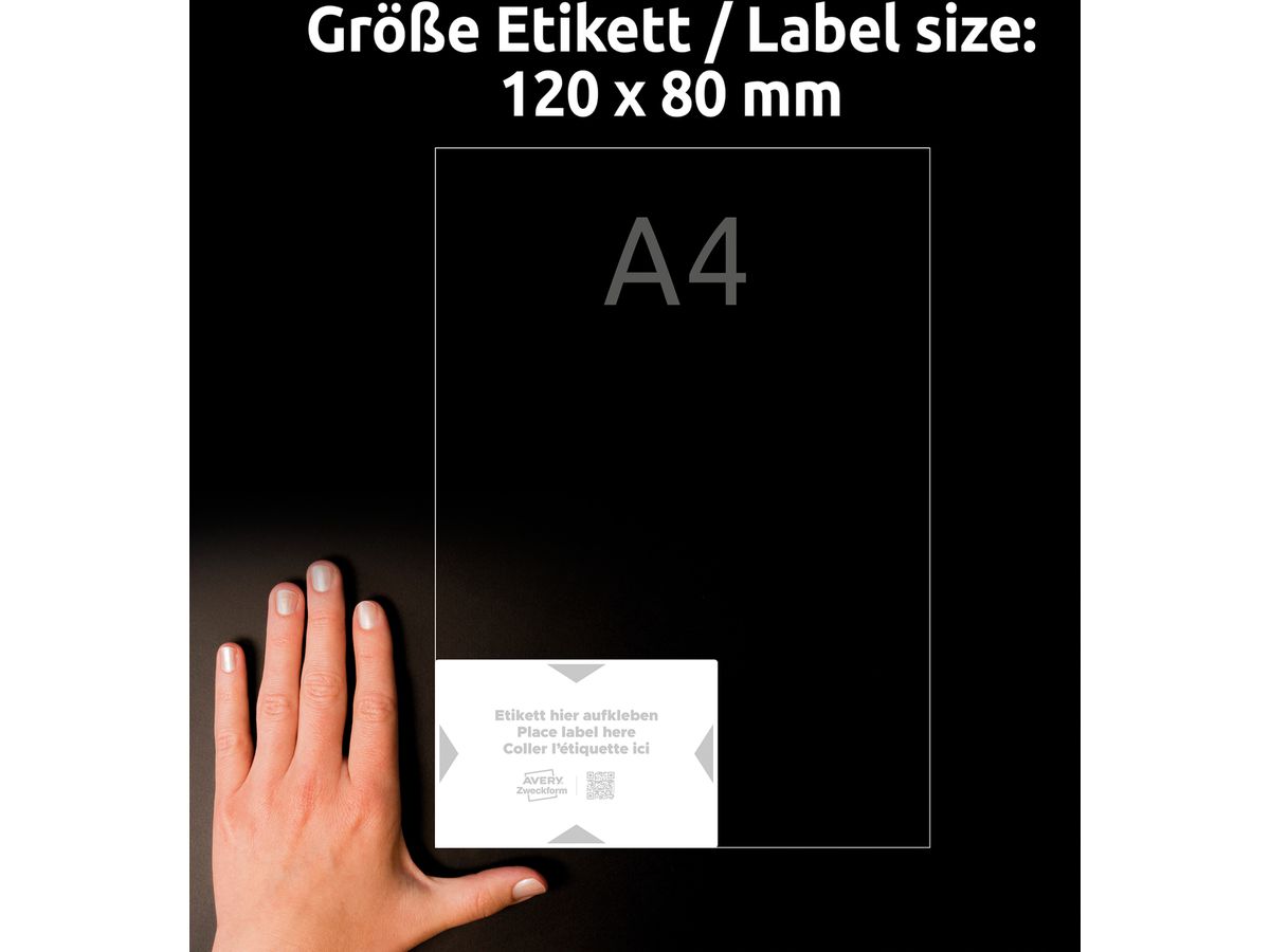AVERY ZWECKFORM Etichette vettore 120x80mm 8001-5 grigio chiaro 20 pz./5 fogli (4004182334973)