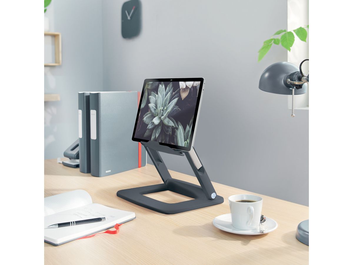 LEITZ Support pour moniteur Ergo 6424-00-89 Gris Fonce (4002432138340)