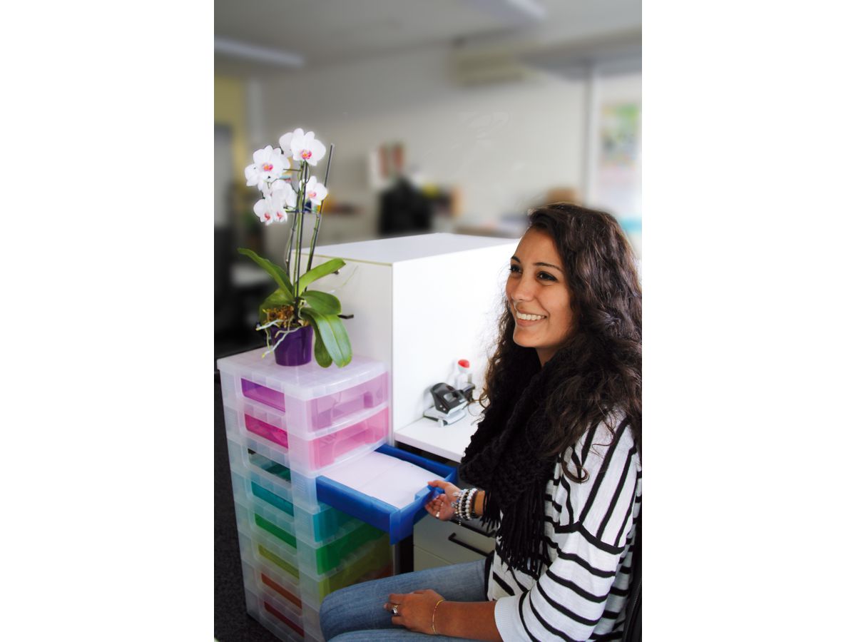 USEFULBOX Vaschetta potadoc. 30x42x93cm 68507600 scomp. 8x7 litri (5060231633465)