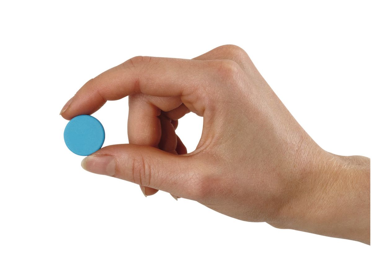 MAUL Neodym-Magnet 6166699 0,8kg, ass. 10 Stück (4002390069120)