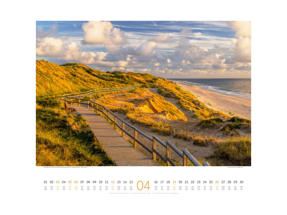 ACKERMANN Bildkalender 2026 2634 Wege ML 54x48cm (9783838426341)