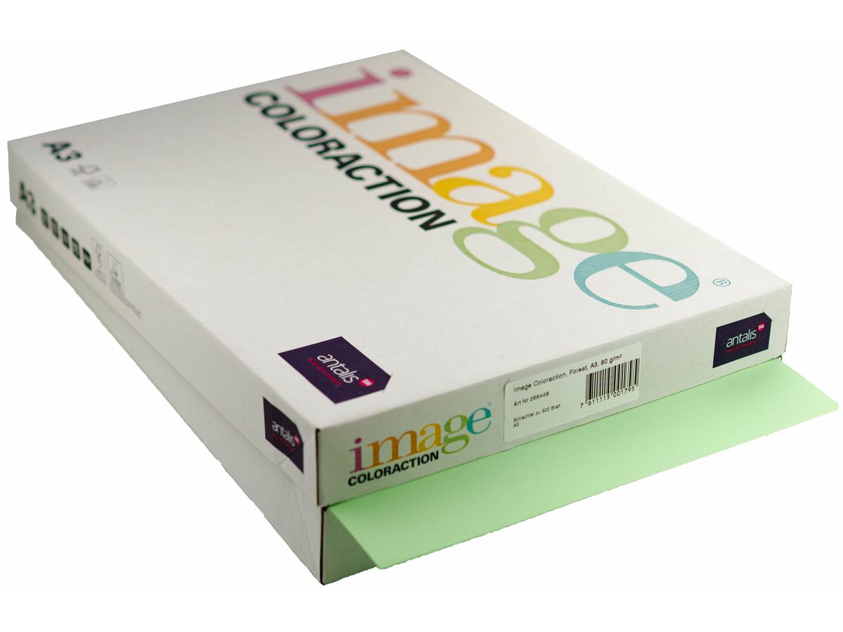 IMAGE COLORACTION Papier à copier Forest A3 266448 80g, vert 500 feuilles (7611115001795)