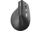 RAPOO EV310M Ergo. Wirel. Mouse 13049 Multi-Mode, Grey (6940056130495)