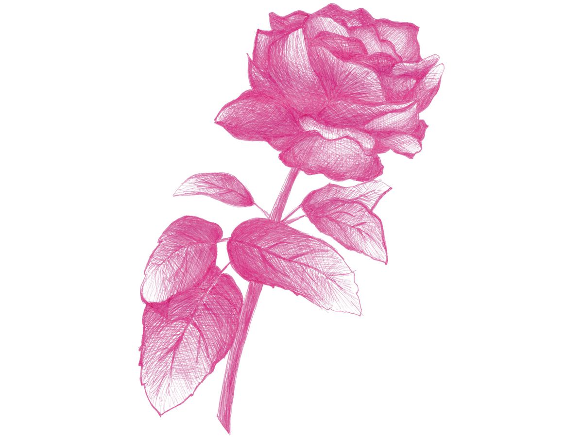 COPIC Multiliner 0.3mm 22075620 Color Set, 10 pz. (4013695264912)