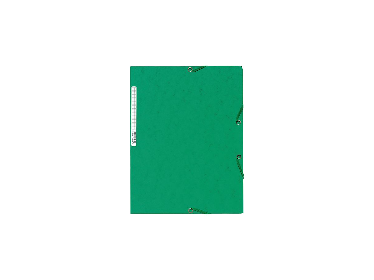 EXACOMPTA Pochette à élastique A4 55503E vert (3130630555032)