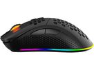 DELTACO Lightweight Gaming Mouse,RGB GAM-120 Wireless, Black, DM220 (7333048050601)