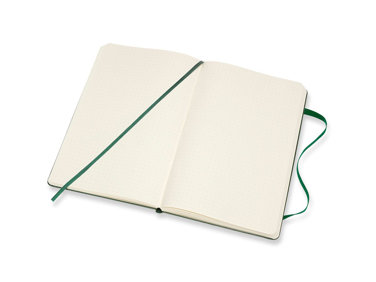 MOLESKINE Carnet HC L/A5 629094 pointé, vert, 240 pages (8058647629094)