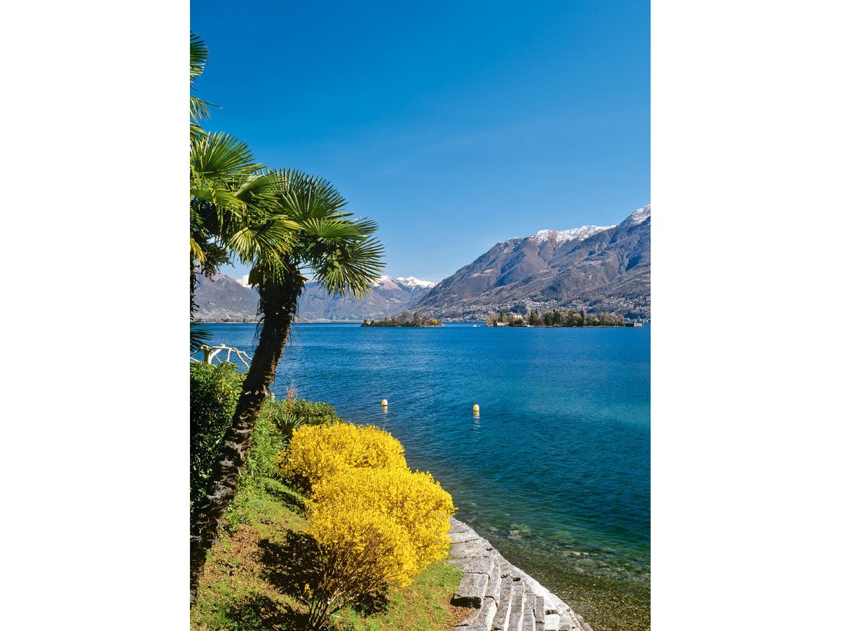 CALENDARIA Planer 2026 9783036205328 Swiss 23x31.5cm (9783036205328)