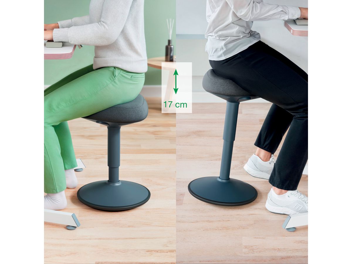 LEITZ Sgabello Ergo Activ 6544-00-89 grigio (4002432138418)