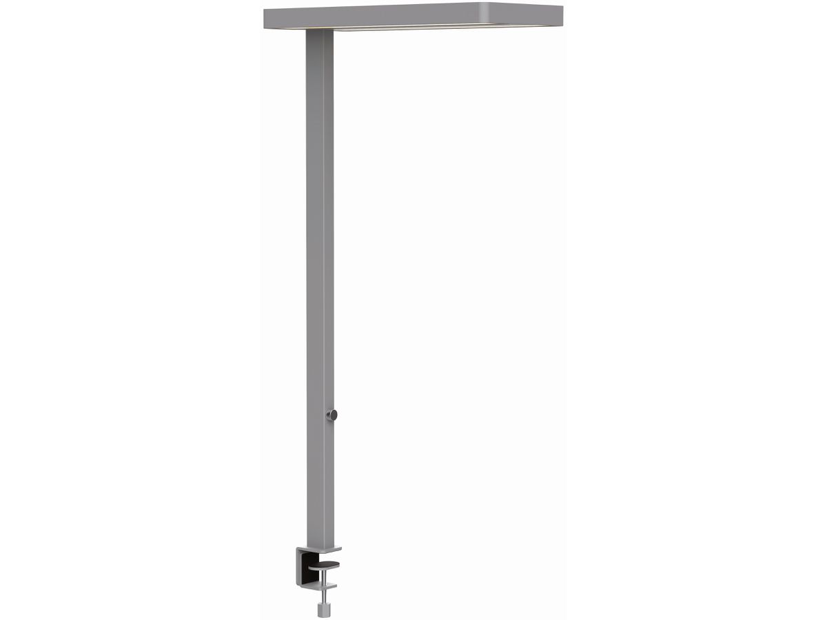 MAUL LED-Tischleuchte MAULjaval 338.00 silber, dimmbar (4002390079167)