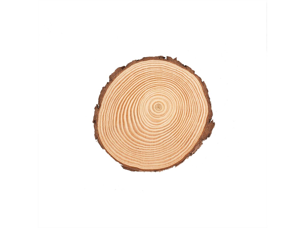 GLOREX Disco di legno 15x1.5cm 67026751 (7610877580494)