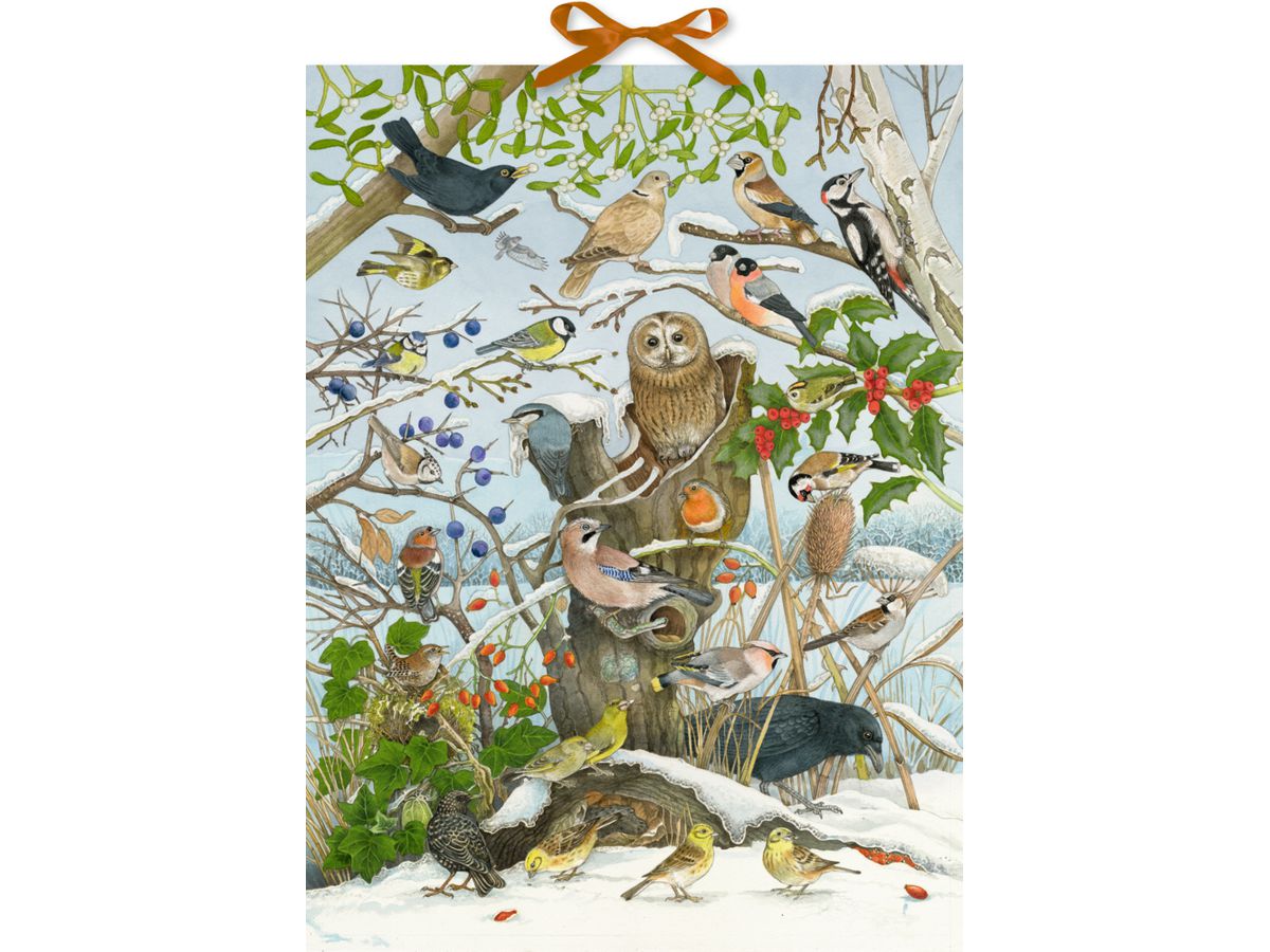 COPPENRATH Calendrier de l'avent sonore 95250 Nos oiseaux en hiver (4050003952505)