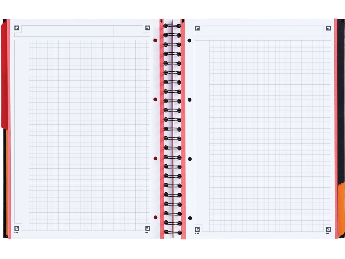 OXFORD Filingbook A4+ 100100739 quadrillée, 80g 100 flls. (3020120015019)