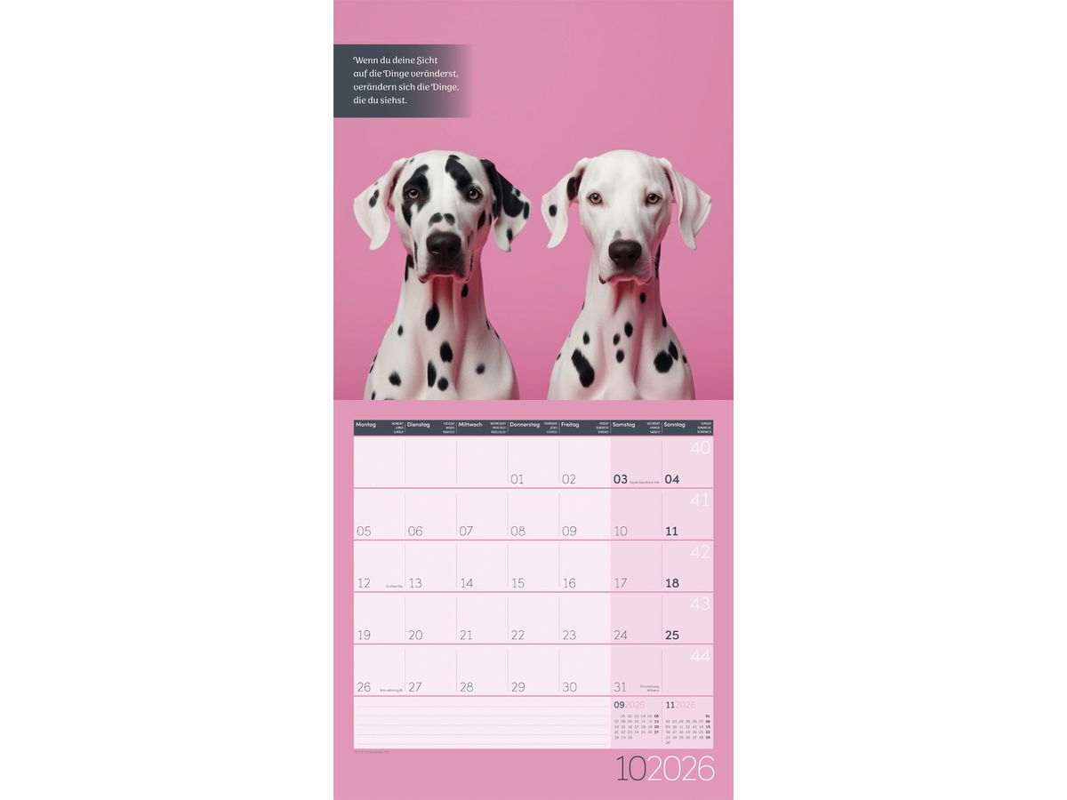 ACKERMANN Bildkalender 2026 4633 Alles wird gut ML 30x30cm (9783838446332)