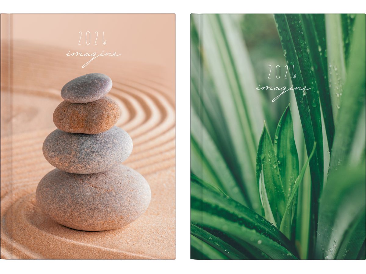 RIDOIDE Agenda Mentor Grafik 2026 7026037956.26 1G/1P assortiti ML 14.8x20.8cm (4003273790834)