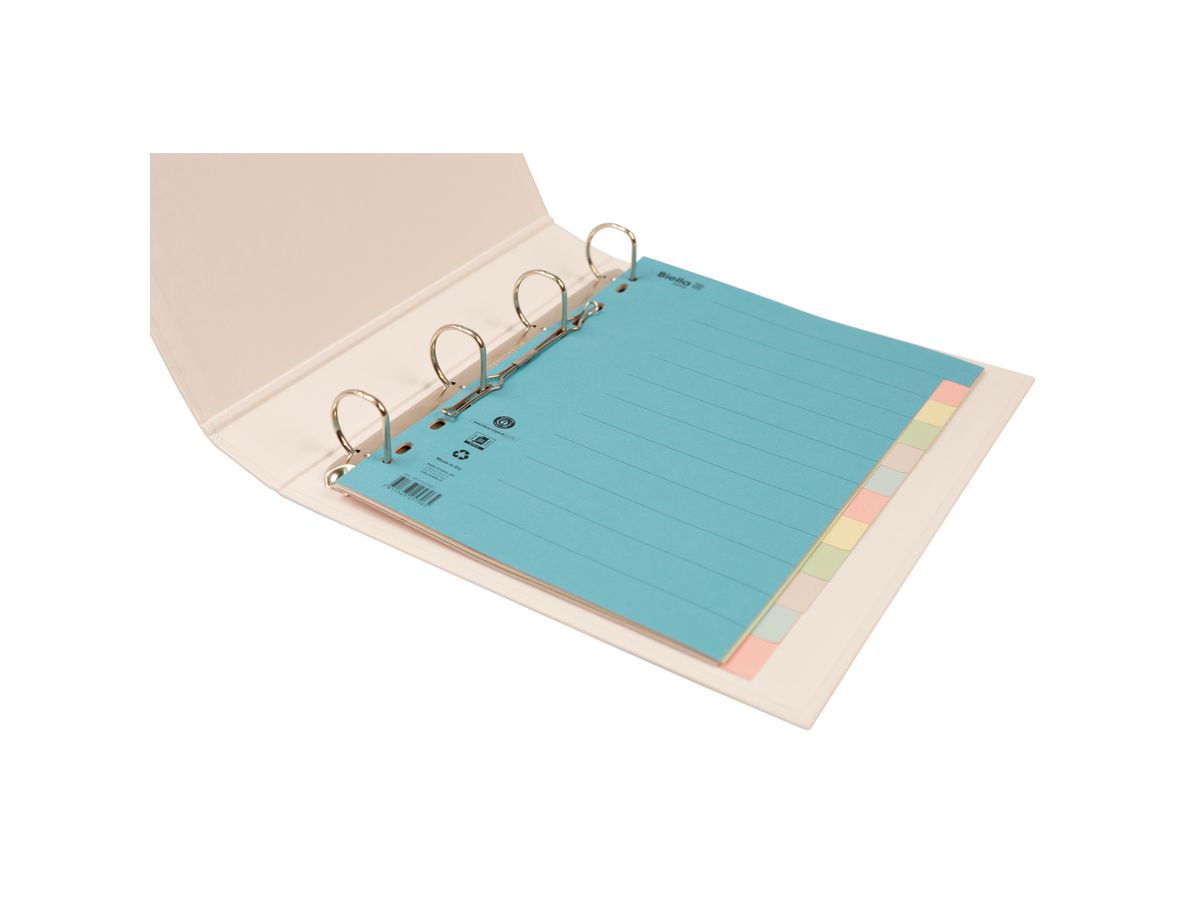 BIELLA Kartonregister A4 46141200U bunt 12-teilig (7611365257065)