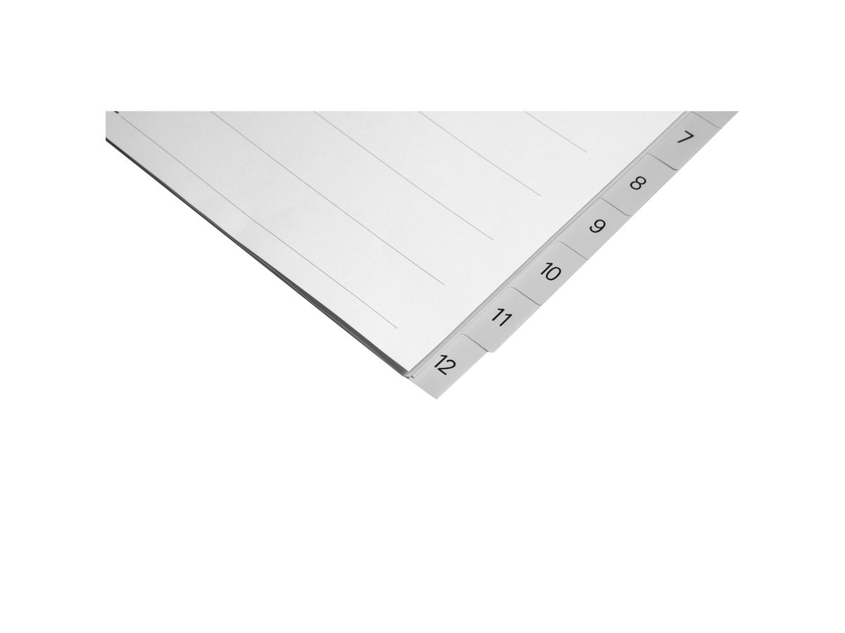 BIELLA Registro PP A4 47141200U grigio 1-12 (7611365255696)