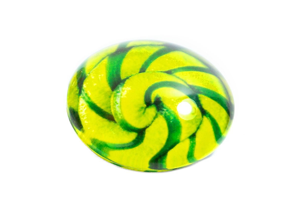 ROOST Magnet Lollipop Ø3.5cm PA-M2041 assortiert (7640420952713)