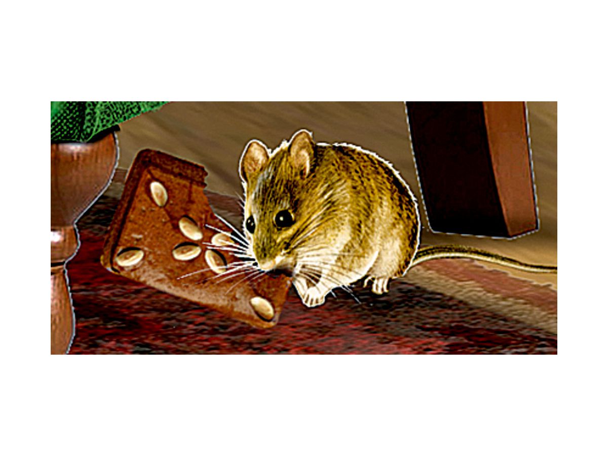 COPPENRATH calendrier mural 72553 salle de cheminée (4050003725536)