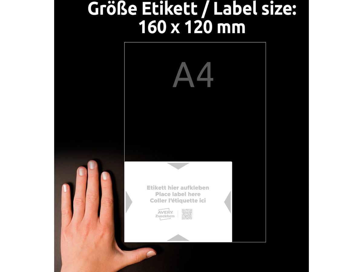 AVERY ZWECKFORM Etiquettes support 160x120mm 8002-5 gris clair 10 pcs./5 flls. (4004182334997)