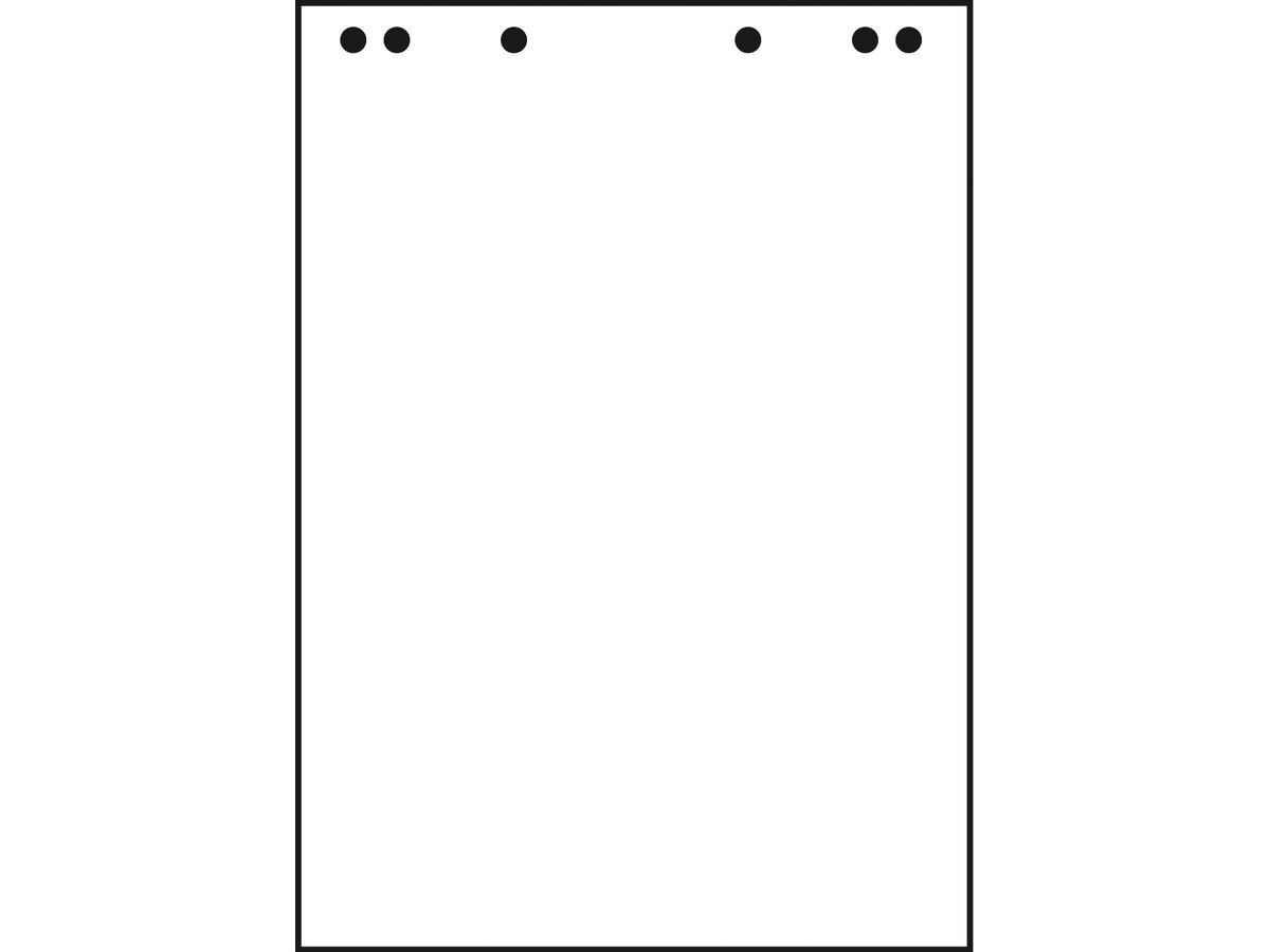 LANDRE Papier Flipchart 68x99cm 10050588 80g,en blanc recyl. 5x20 fllt. (4006144604124)